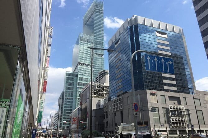 4/5/6 Hours Private Osaka Tour Designed for Cruise Passengers - Dotonbori and the running man: iconic photos in a short stop