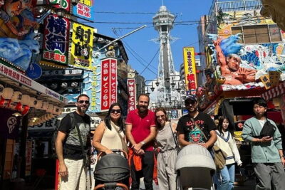 4/5/6 Hours Private Osaka Tour Designed for Cruise Passengers - Osaka Castle stop: what to expect from the park area