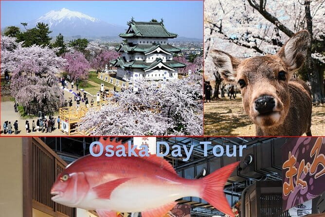 Amanohashidate & Ine Boathouse Full-Day Tour from Kyoto or Osaka - Timing and the Long Coach Ride: How to Make It Feel Worth It