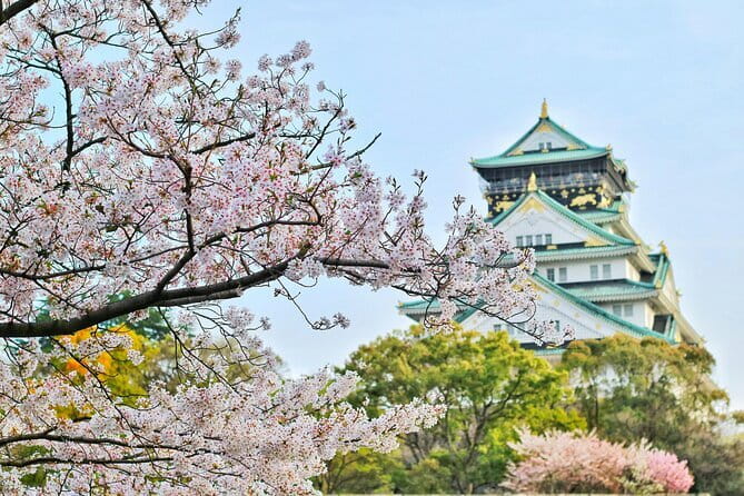 Amanohashidate & Ine Boathouse Full-Day Tour from Kyoto or Osaka - Local-Style Practical Tips That Save Time and Stress