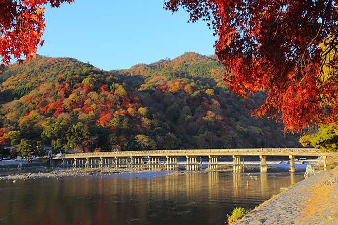 Ancient Capital Tour: Kyoto and Nara Highlights from Kyoto/Osaka - Stop 1: Arashiyama, bamboo forest walks, and a real lunch pause