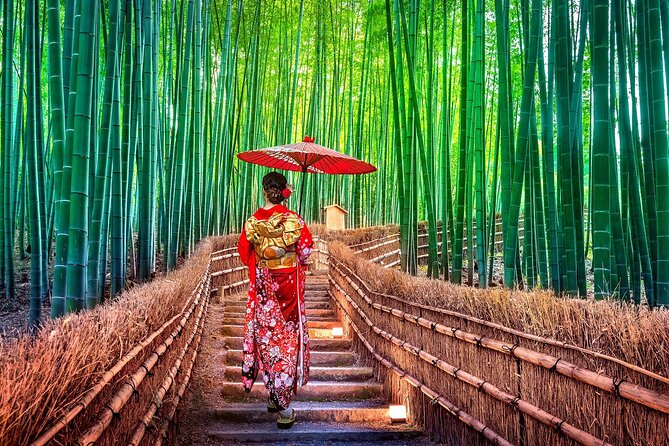 Ancient Capital Tour: Kyoto and Nara Highlights from Kyoto/Osaka - Transport and timing: why the day can feel packed