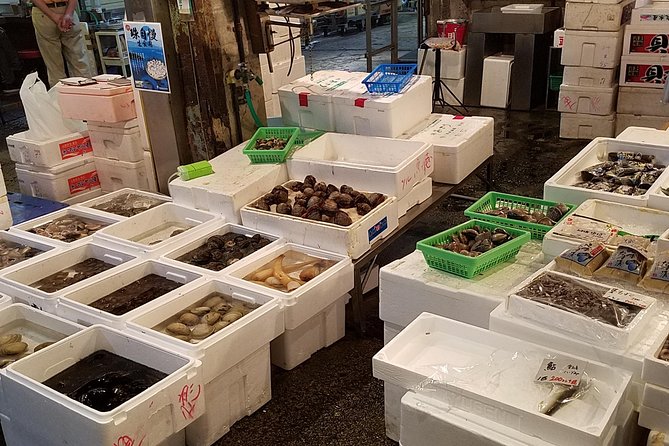 Deep Dive: Osaka Food Markets from Local to Luxurious! - Stop 3: Tenjinbashi-suji Arcade and the Osaka Supermarket Lesson