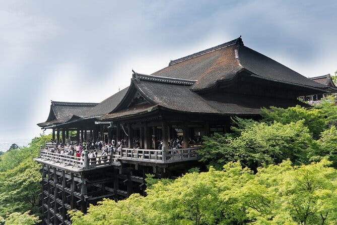 Discover Himeji, Kobe and Nara from Osaka - A One-Day Trio That Actually Saves Time