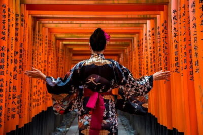 Discover Himeji, Kobe and Nara from Osaka - Price and What’s Included for $91