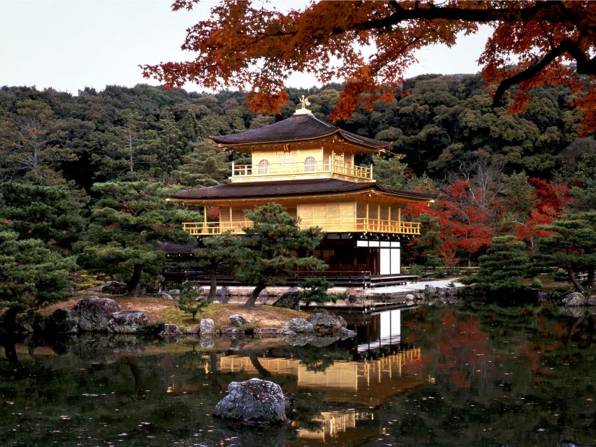 From Kyoto/Osaka: Kyoto Top Highlights 1-Day Guided Bus Tour - Who should book this Kyoto bus day tour