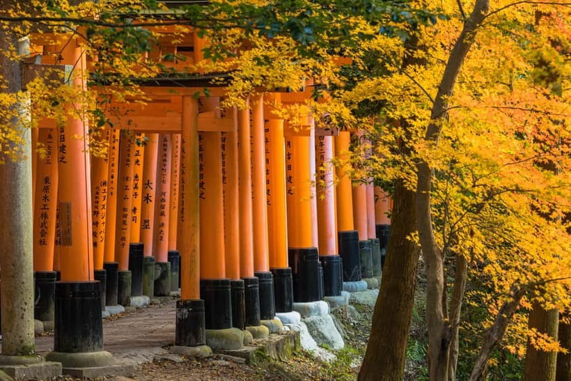 From Kyoto/Osaka: Kyoto Top Highlights 1-Day Guided Bus Tour - Golden Pavilion Kinkaku-ji: how to enjoy it in 45 minutes