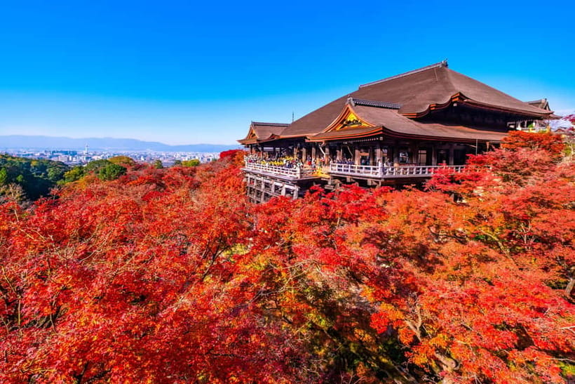 From Kyoto/Osaka: Kyoto Top Highlights 1-Day Guided Bus Tour - Bus comfort, timing, and photo rhythm on a full day