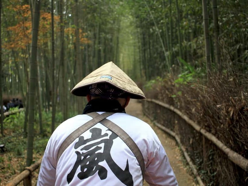 From Kyoto/Osaka: Kyoto Top Highlights 1-Day Guided Bus Tour - Fushimi Inari Taisha torii gates: what to do with your 80 minutes