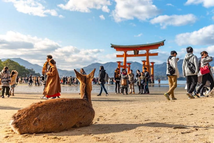 From Osaka: Hiroshima and Miyajima Day Trip by Bullet Train - Miyajima Island: Itsukushima Shrine, Floating Torii Views, and Deer Encounters