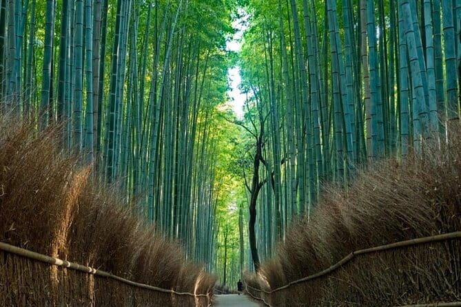 From Osaka/Kyoto: Kyoto & Nara Day Trip with Optional Lunch - Key highlights you’ll feel right away