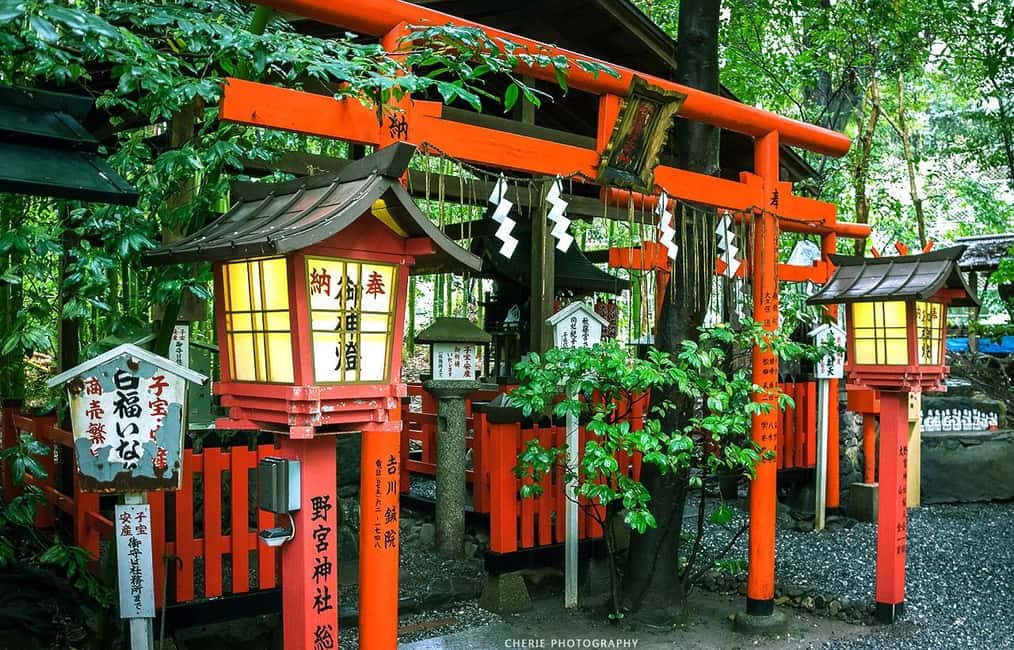 From Osaka: Kyoto, Nara, Fushimi Inari & Arashiyama Day Tour - A One-Day Hit List: Nara, Fushimi Inari, and Arashiyama