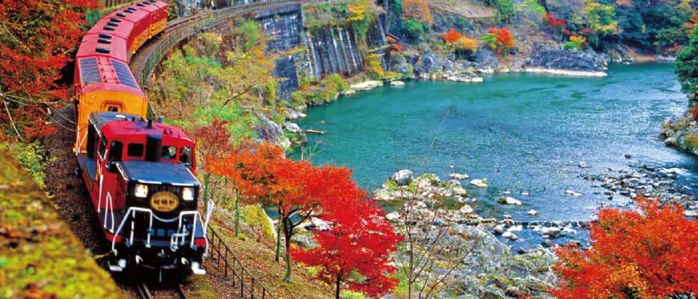 From Osaka: Kyoto, Nara, Fushimi Inari & Arashiyama Day Tour - Arashiyama Setup: Photo Stops, Bamboo Grove, and a Footbath That Feels Like a Cheat Code