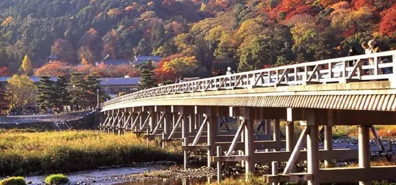 From Osaka: Kyoto, Nara, Fushimi Inari & Arashiyama Day Tour - Small-Group Reality: Shared Tour Pace and Guide Skills