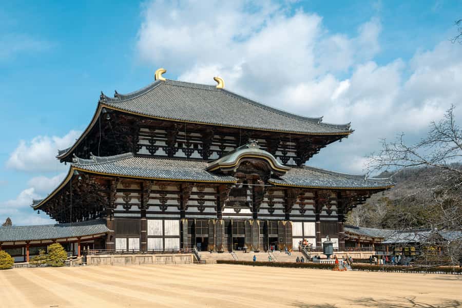 From Osaka: Nara, Kiyomizu-dera & Fushimi Inari Trip - Who this Nara, Kiyomizu-dera & Fushimi Inari trip fits best