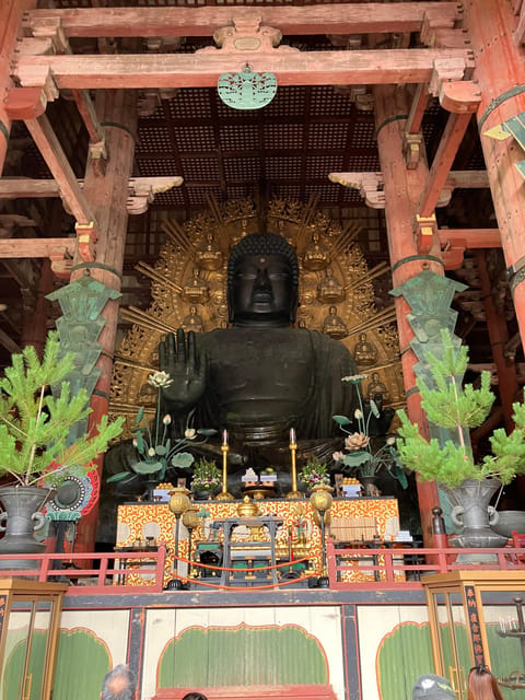 From Osaka: Nara Private Tour with Meet-Up at Your Hotel - Key things I’d bookmark before you go