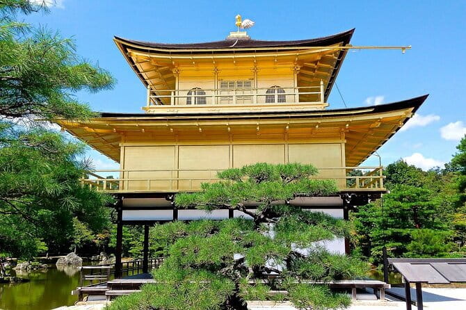 From Osaka or Kyoto: Kyoto and Nara 1-Day Bus Tour - Key points to know before you go