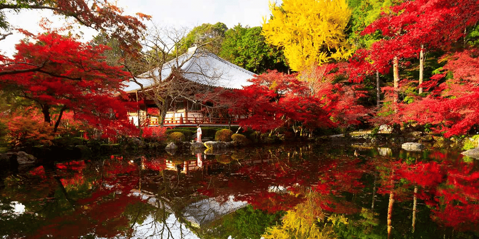From Osaka: Private Customized Day Tour to Kyoto - Price and Logistics: Why $510 Can Feel Fair (or Not)
