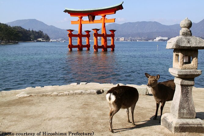 Full Day Hiroshima and Miyajima Tour by Bullet Train from Osaka - Lunch on Miyajima: your one-hour window