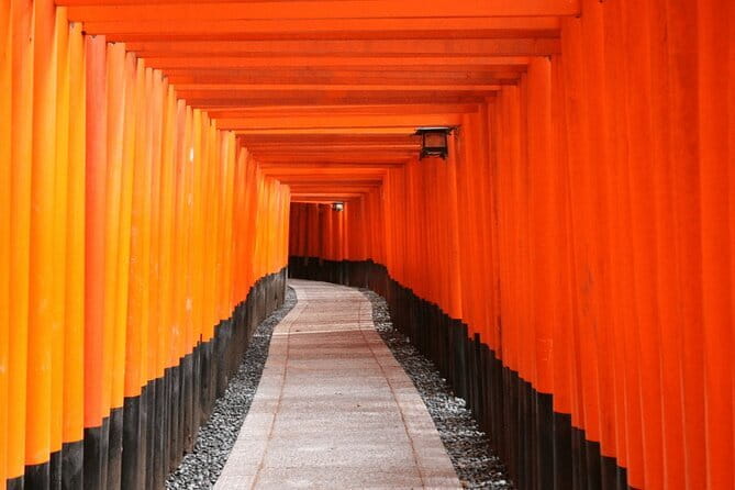 Full Day Tour of Kyoto with Private Transportation - Price and What You Actually Get for $247.92