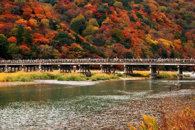Full Day Tour of Kyoto with Private Transportation - Arashiyama Bamboo Grove and Togetsukyo Bridge: Nature With a Built-In Photo Plan