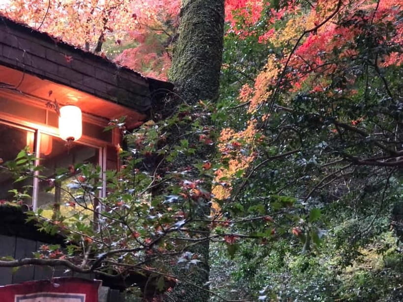 Get to know Minoo from Osaka. Katsuoji Temple, Ryuanji Waterfall and Ryuanji Temple - Should you book this Minoo from Osaka tour?