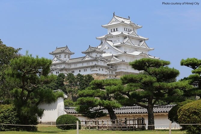 Himeji Castle and Akashi Kaikyo Bridge Walking Tour from Osaka - Key highlights you’ll actually feel