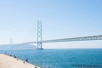 Himeji Castle and Akashi Kaikyo Bridge Walking Tour from Osaka - Hotel Nikko Himeji buffet lunch: a reset that actually works
