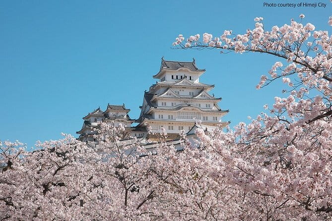 Himeji Castle and Akashi Kaikyo Bridge Walking Tour from Osaka - Price and value: is $246.33 a fair deal for one day?