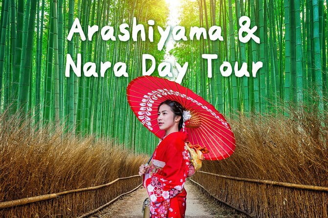 Himeji Castle and Akashi Kaikyo Bridge Walking Tour from Osaka - Who should book this Himeji and bridge tour?