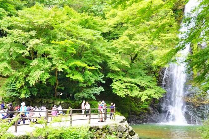 Katsuo-ji Temple, Arashiyama Forest, & Nara Park - Price and Value: Is $91.65 a Good Deal for Katsuo-ji, Arashiyama, and Nara?