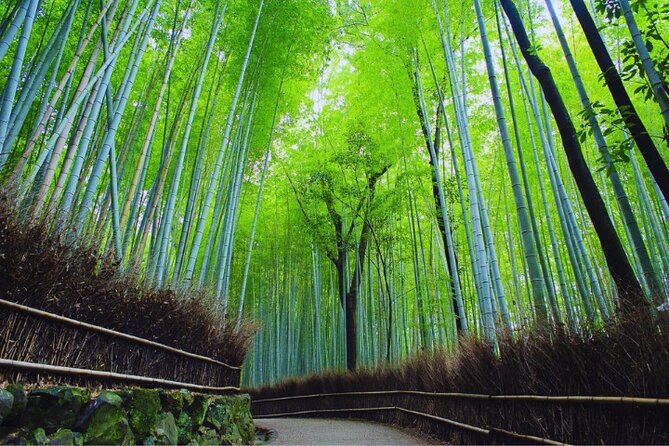 Katsuo-ji Temple, Arashiyama Forest, & Nara Park - Tips to Make This Day Trip Smooth (and Avoid Booking Surprises)