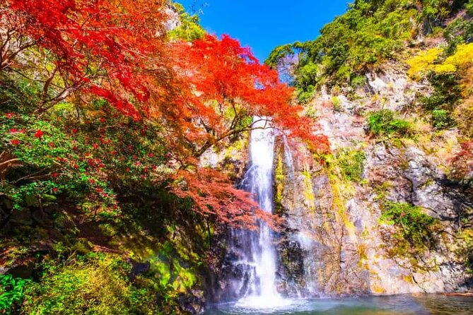 Katsuo-ji Temple, Arashiyama Forest, & Nara Park - FAQ