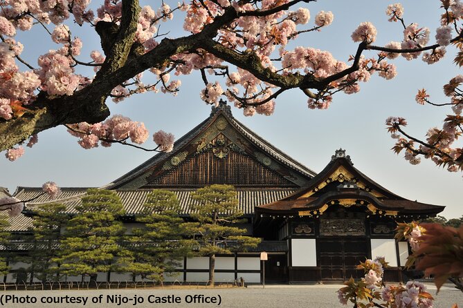 Kyoto 1 Day Tour from Osaka - Key things to notice before you go