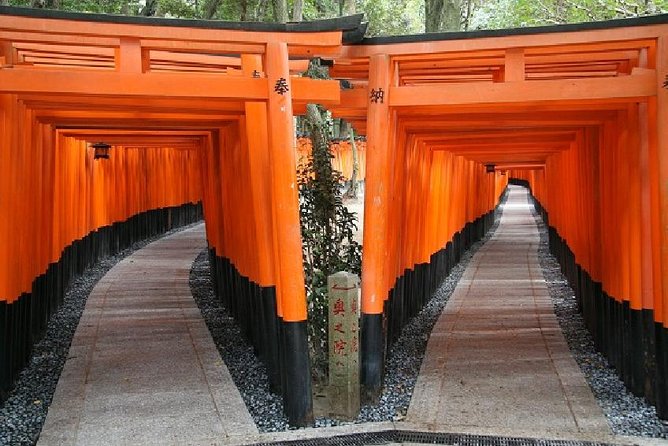 Kyoto 1 Day Tour from Osaka - Kinkaku-ji (Golden Pavilion): the gold look-and-feel everyone travels for