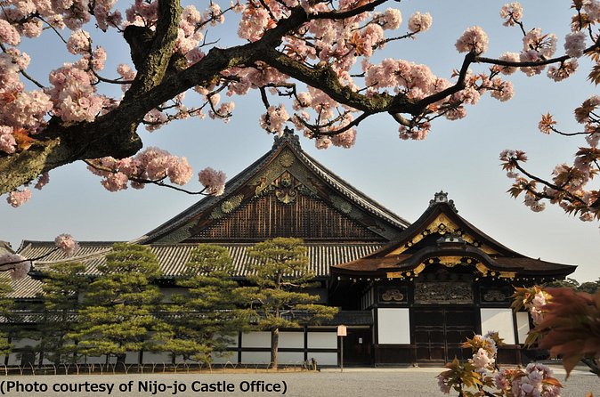Kyoto 1 Day Tour from Osaka - Price, pacing, and the group-size trade-offs that affect your comfort
