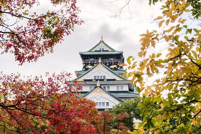 Kyoto and Nara UNESCO Highlights Full-day Tour From Osaka - Getting Comfortable: Walking, Heat, and Small Day-Trip Tips