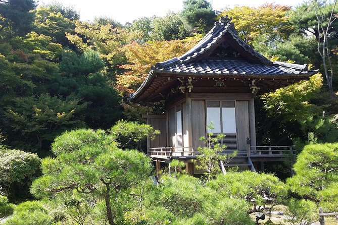 Kyoto Highlights: Arashiyama & Fushimi Inari by Private Car - Fushimi Inari-Taisha: Torii Gates, Stairs, and Choosing Your Own Climb