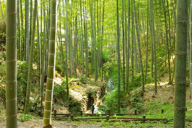 Kyoto Highlights: Arashiyama & Fushimi Inari by Private Car - Who This Kyoto Highlights Tour Fits Best