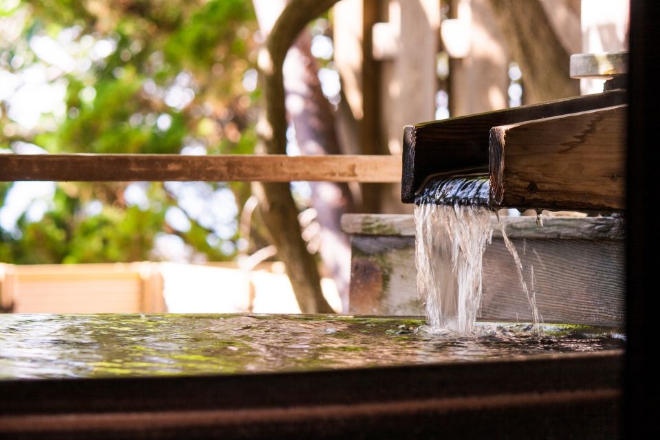 Kyoto: Immersive Arashiyama & Fushimi Inari by Private Car - Practical notes for a smooth day in Kyoto