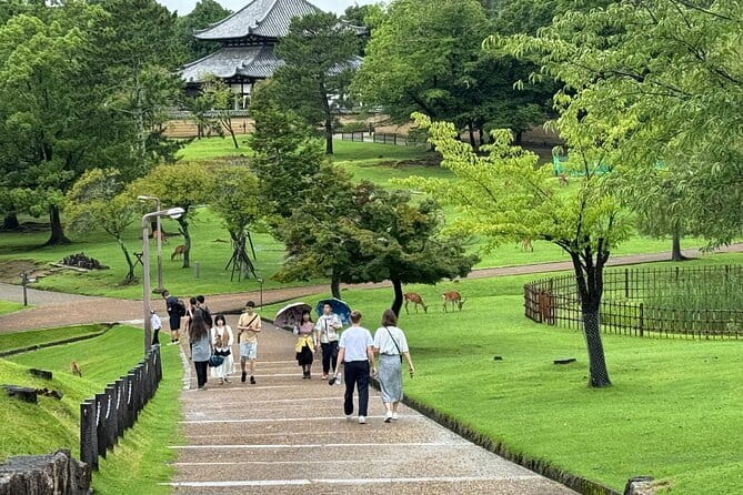 Kyoto & Nara Private customized tour with English speaking Guide - Meeting point in Osaka and how the timing typically plays out