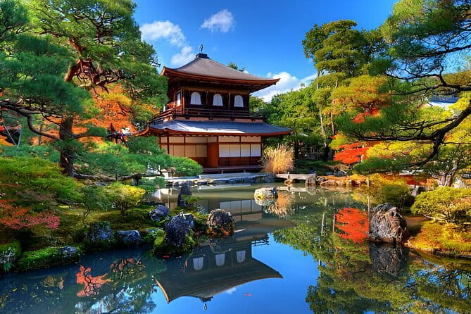 Kyoto & Nara Private Day Tour - Price and logistics: what you’re actually paying for