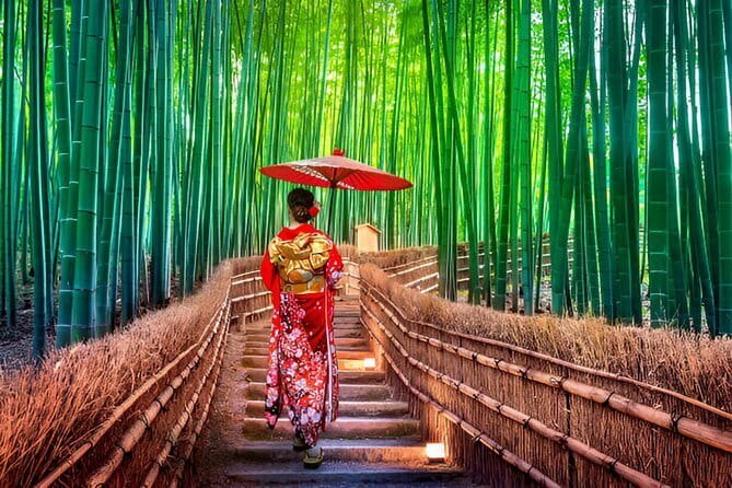 Kyoto & Nara Private Day Tour - How the driver-and-you style shapes your day