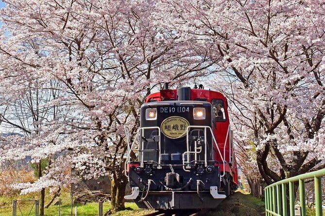 Kyoto & Nara & Uji: Full Day Sightseeing Tour from Osaka or Kyoto - Byodo-in Omotesandō and the Matcha Shopping Walk