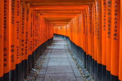 Kyoto Top Four Highlights Day Trip from Osaka or Kyoto - Nijo Castle: Tokugawa-Era Palace Life, Not Just a Castle Facade