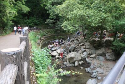 Minoh Waterfall and nature walk through the Minoh Park - Getting to Minoh: train start, meeting point, and pacing your day