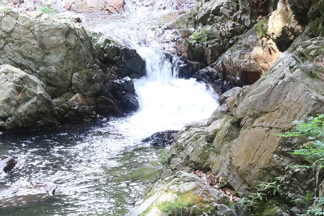 Minoh Waterfall and nature walk through the Minoh Park - Lunch included: why it’s part of the value, not just a perk