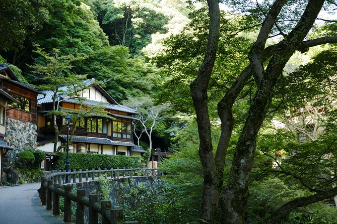 Minoh Waterfall and nature walk through the Minoh Park - Private guide benefits: the difference between walking and being guided