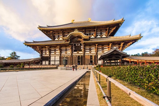 Nara, Todaiji Temple & Kuroshio Market Day BUS Tour from Osaka - Key highlights worth planning for