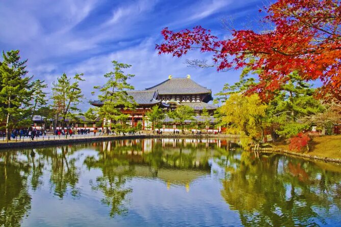 Nara, Todaiji Temple & Kuroshio Market Day BUS Tour from Osaka - A single long day: why this tour works